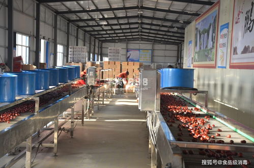 食品廠(chǎng)車(chē)間霉菌消毒 炒貨食品及堅(jiān)果制品霉菌超標(biāo)的關(guān)鍵解決路徑